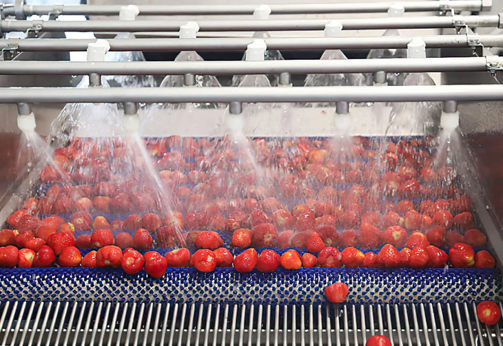 The Pathogen Kill List: How HOCl Destroys E. coli, Listeria, and Salmonella Without Residue or Rinse